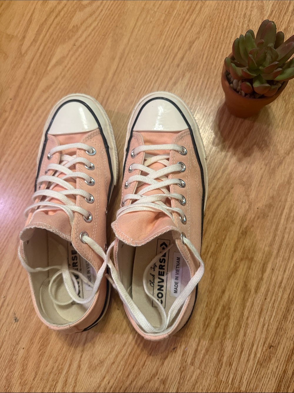 Converse Low Top Canvas Sneakers in Light Pink